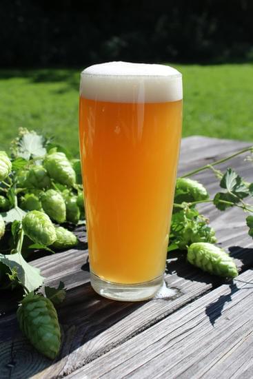 Alles over IPA: smaak, geschiedenis, brouwmethode en soorten