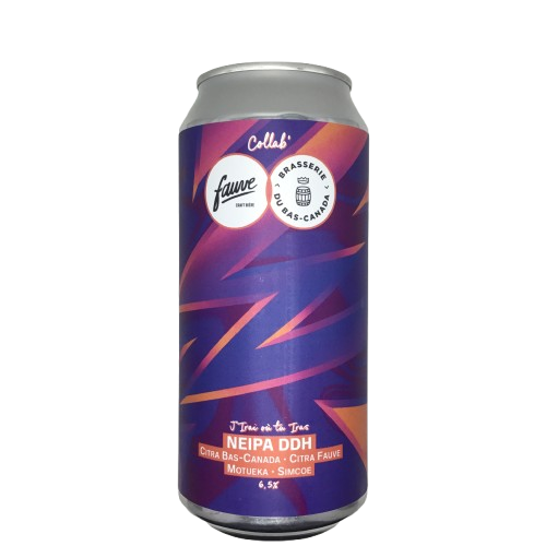 J'irai Où Tu Iras (Du-Bas Canada collab)