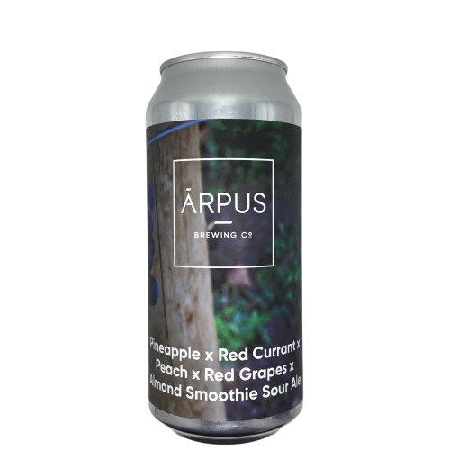Pineapple X Red Currant X Peach X Red Grapes X Almond Smoothie Sour Ale
