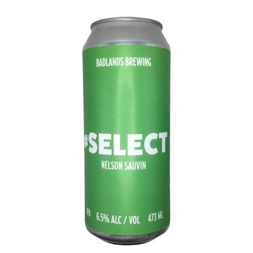 #SELECT - NELSON SAUVIN (2026)
